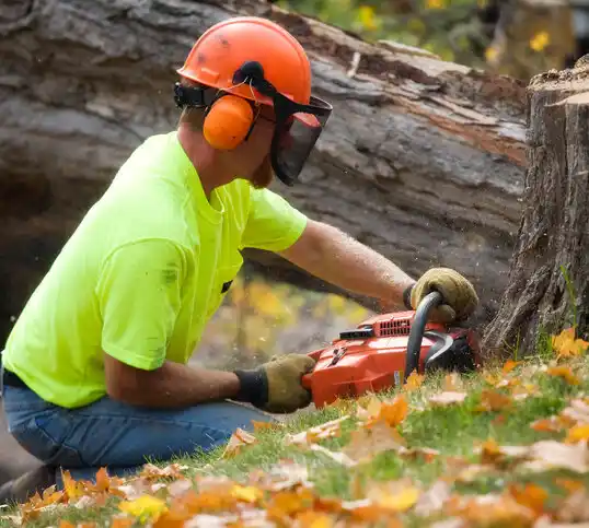 tree services Kenmare